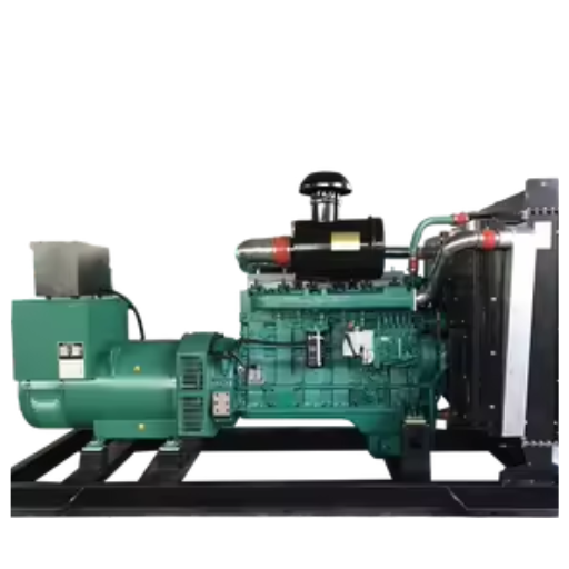 portable generator not starting