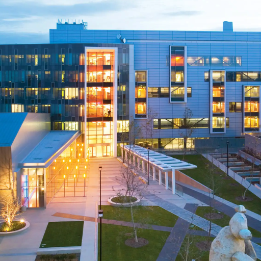 backup generators for schools and universities