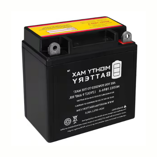 How to Choose a Generator Replacement Battery?