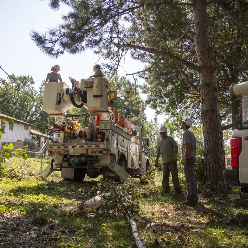 Community Response to Power Outages