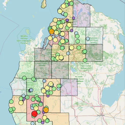 Understanding Power Outages in Michigan