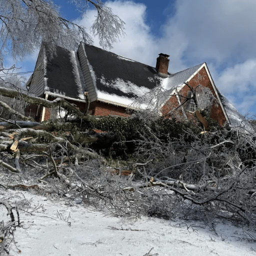 Causes of Power Outages in Tennessee